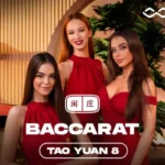winfinity-tao-yuan-baccarat-8